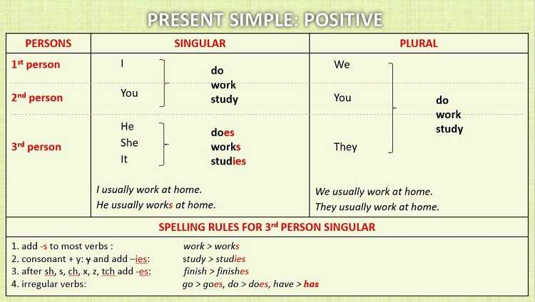 Как образуется вопрос в present simple - Учим английский